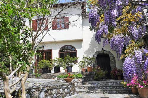 Wonderful 4 Bedroom Villa & separate guest house Villa Thalia - Accommodation - Zagora