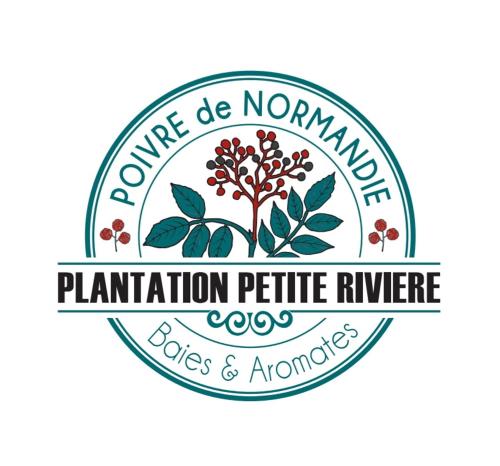 Plantation de poivre- La Petite Rivière