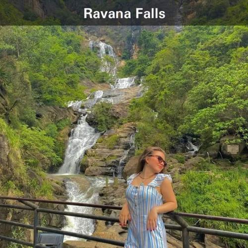 Green View-Ella — Photo 5