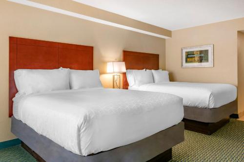 Holiday Inn Resort Orlando - Lake Buena Vista, an IHG Hotel