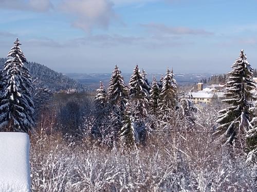 Chalet neuf avec jacuzzi prive, vue imprenable sur Massif des Vosges in Belfahy