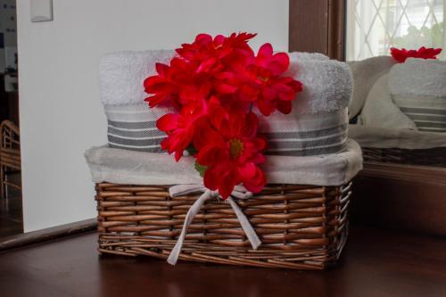 Eco Stay Hostel - image 4