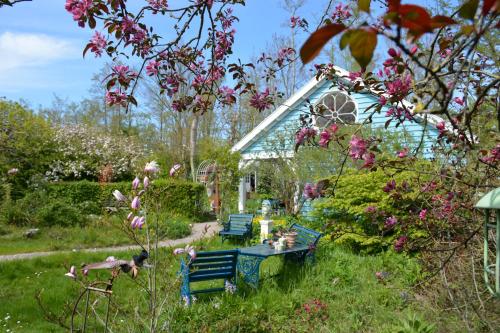  Wonderland in Pieterburen