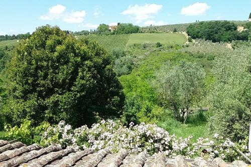 IL NIDO di pace fra gli olivi