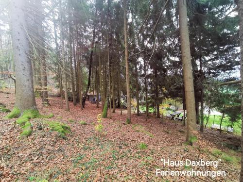 Ferienwohnungen "Haus Daxberg" Idyllisch gelegen im Bayerischen Wald