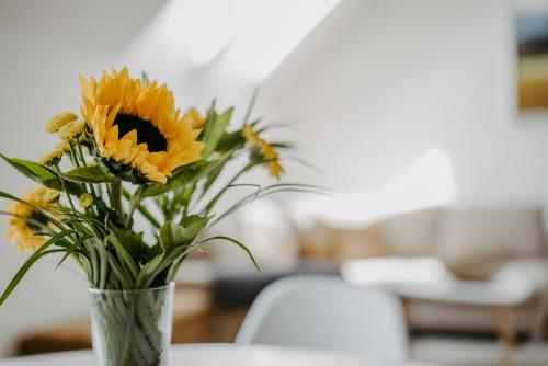 Fugger Alm Fugger Alm