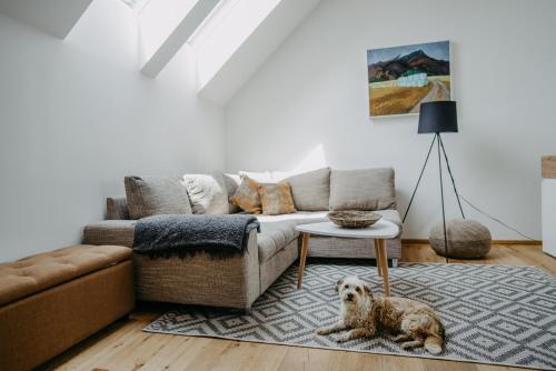 Fugger Alm Fugger Alm