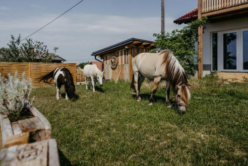 Fugger Alm Fugger Alm