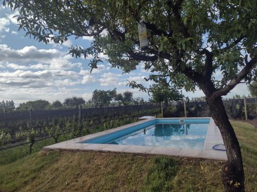 Entre Viñedos (Entre Vinedos) in Perdriel