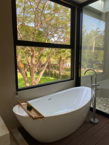 Surrounding environment