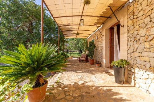 Selva - 4071-72 Mallorca, Selva (photo 7)