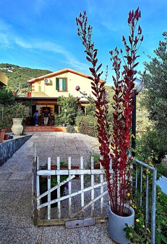 Villa Patrizia 3