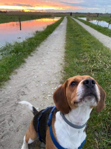 Domaine de la Dune Gite entre Terre et Mer in Saint Martin De Varreville