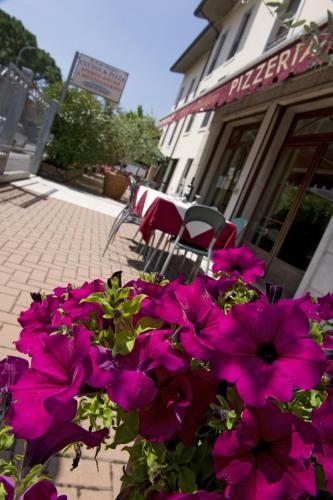 Hotel Scaligero - image 2