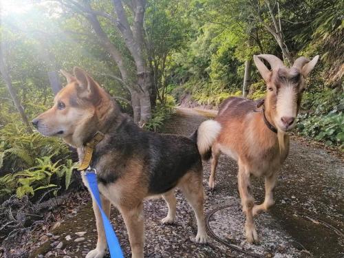 はこにわ｜田舎暮らしが体験できる宿