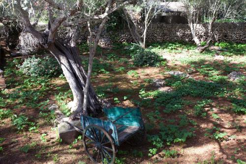 Agroturisme Ca'n Gaia - image 7