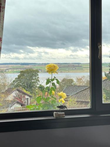 Black Isle View in ดิงเวล