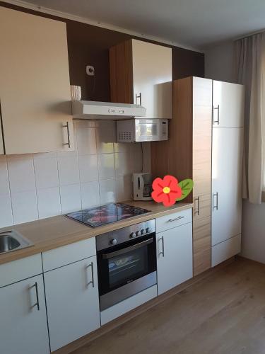 Apartment Graz Murpromenade
