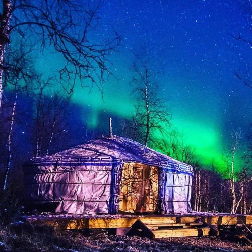 Aurora Yurt - Hotel - Kiruna