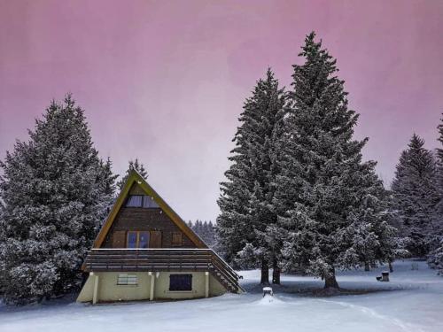 Chalet 70's cosy et rustique, vue et jardin ! - Apartment - Lans en Vercors