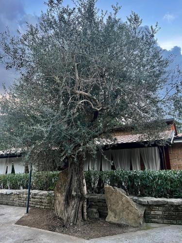  Agriturismo a casa di Susanna in Santo Stefano del Sole