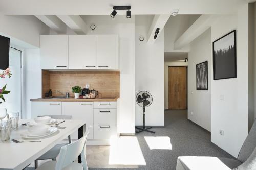 Cozinha, Villa Alpina - 5 minut do szlaków i wyciągów (Villa Alpina - 5 minut do szlakow i wyciagow) in Szklarska Poreba