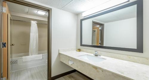 Best Western Plus Arbour Inn and Suites - image 13
