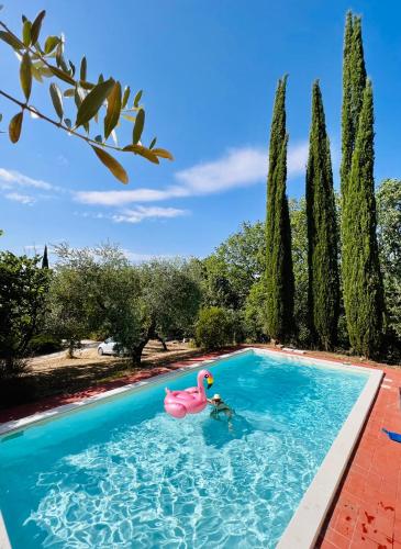 花園, Casale Delle Querce farmhouse in Giove Umbria with pool in 焦維