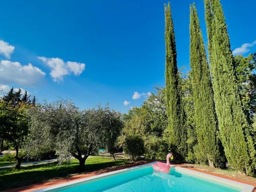 1700s stone farmhouse with 3 bedrooms 1 den and pool in Giove, Umbria