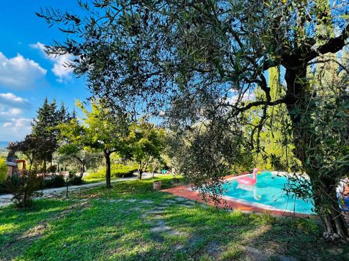 1700s stone farmhouse with 3 bedrooms 1 den and pool in Giove, Umbria