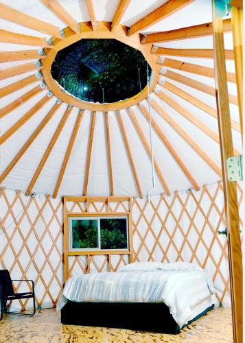 Eco Friendly Glamping Yurt In Roan Mountain Tn