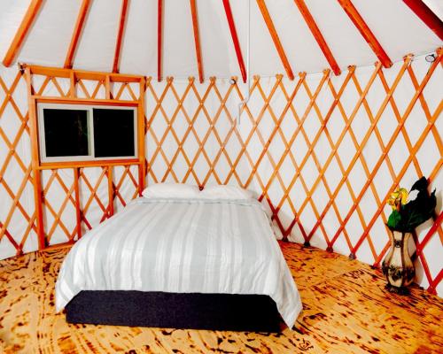 Eco Friendly Glamping Yurt In Roan Mountain Tn in Roan Mountain, USA