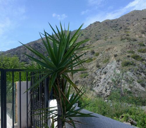 Pensión Restaurante Venta El Molino