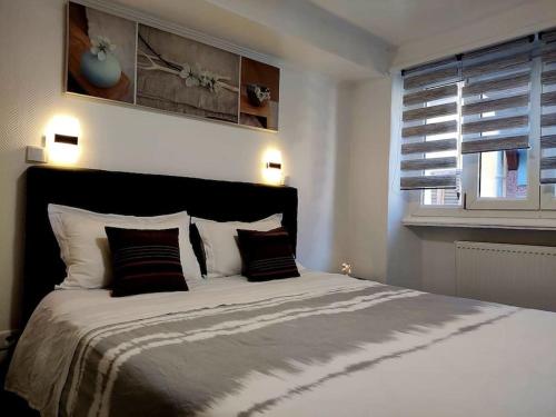 - 1 - Appartement charmant moderne 5 pers T3 73m2, Sélestat (photo 6)