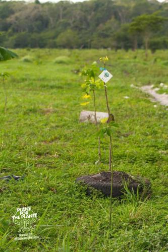 Karowlina Cozy House Berlin 1-4 Person Karowlina Cozy House Berlin 1-4 Person