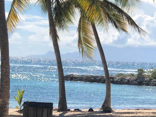 Studio Anse des Rochers Saint François