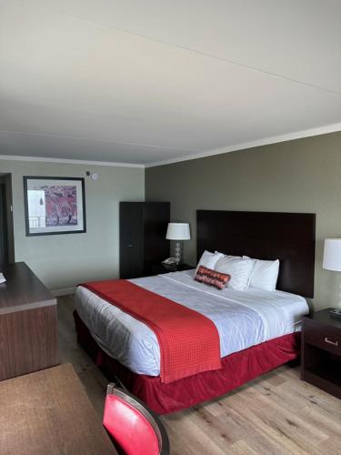 Best Western Plus Sandcastle Beachfront Hotel - image 12
