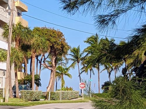 Pier Walk on Deerfield Beach Island