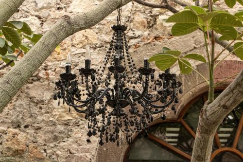 405385411 Orchid House San Miguel de Allende
