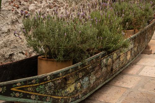 405385449 Orchid House San Miguel de Allende