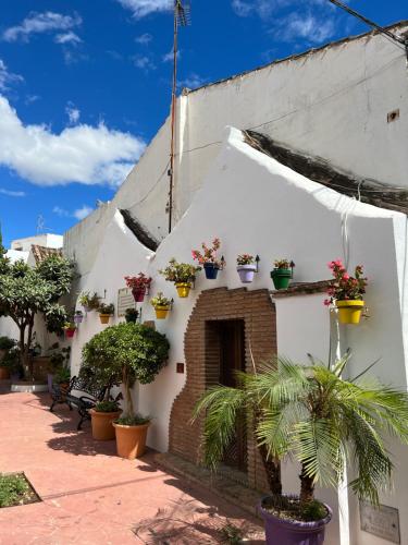 casa San Miguel - image 2