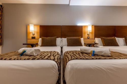 Twin Room with Terrace