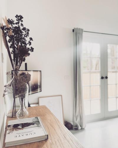 The Black Elm - Studio One
