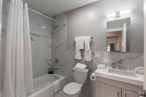 Go Grand in This Massive Old Town Mansion - Sleeps 22! apts - image 2