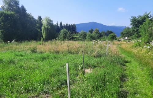  Bauernhaus im Permakultur-Garten in Sankt Johann in Tirol