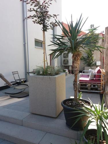 ระเบียง/ชานเรือน, VÍCHOVA VILA_1935 - funkcionalistický skvost v Hořicích v Podkrkonoší (VICHOVA VILA_1935 - funkcionalisticky skvost v Horicich v Podkrkonosi) in ออริเซ