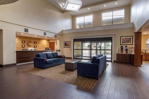 Comfort Suites near Texas Medical Center - NRG Stadium