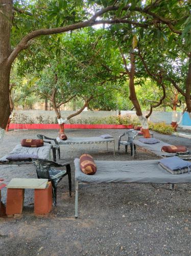 Gir Ganesh Farm & Resort