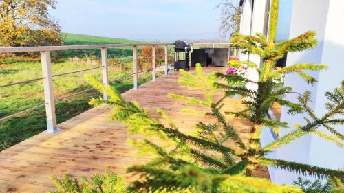 Erkély/terasz, Ranch 66 - Moderní Tiny House Black Swallow ve stylu Route 66 se saunou a bazénem (Ranch 66 - Moderni Tiny House Black Swallow ve stylu Route 66 se saunou a bazenem) in Velka Bystrice