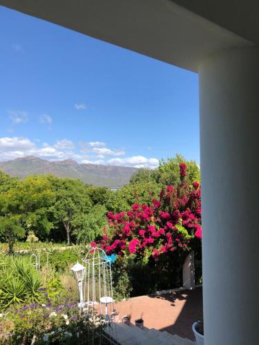 View, Alba House Guest House in Paarl